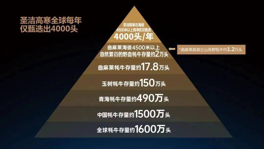 解析开服一条龙成本:多维度因素考量