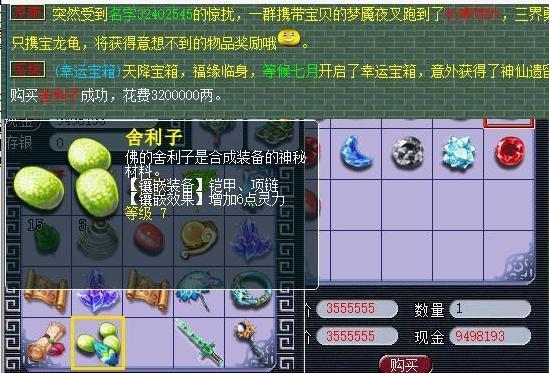 - 《梦幻西游神奇灵石舍利子揭秘》