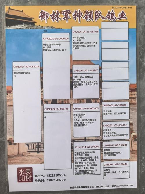 - 《揭秘御林军获取途径：全面解析等你来看》